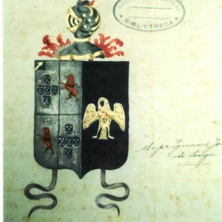 Brasão de nobreza de sua família